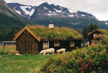 Objevování norského přírodního bohatství v údolí Innerdalen, foto: Tereza Lacmanová